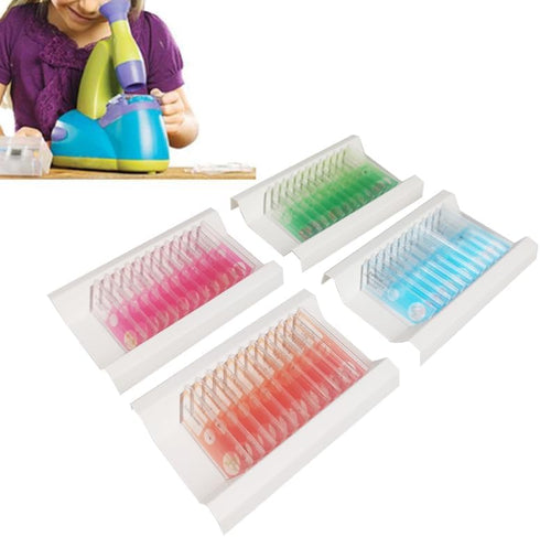 48pcs Kids Plastic Prepared Microscope Slides of Animals, Insects, Plants, Flowers Sample Specimens for Microscopes