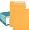 Eupako 9x12 Catalog Mailing Envelopes, Brown Self Seal, 250 Pack for Organizing and Storage