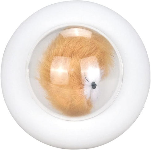 TTBDDDYH Cute Kitty Kids Night Light, Birthday Gifts Cat Room Decorations Atmosphere Light, Touch Control LED Color