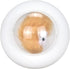 TTBDDDYH Cute Kitty Kids Night Light, Birthday Gifts Cat Room Decorations Atmosphere Light, Touch Control LED Color
