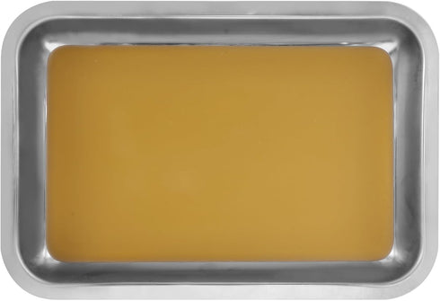 Hemoton Stainless Steel Dissection Tray, Anatomy Wax Tray, Lab Medical Dissecting Pan Tool