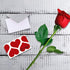 Mini Envelopes Silver 4" x 2.75" - Gift Card Envelopes, Easy-Seal Business Card Envelopes (140 Pack)