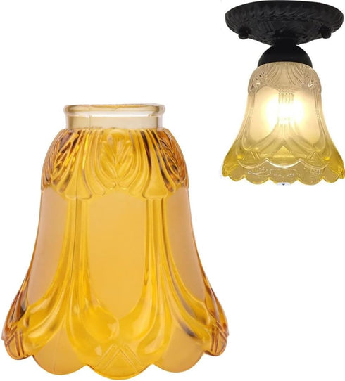 Zicobox Ceiling Fan Chandelier -Elegant Frosted and Clear Glass Light Shade Replacement -