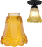 Zicobox Ceiling Fan Chandelier -Elegant Frosted and Clear Glass Light Shade Replacement -