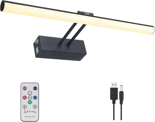 HOWMZON Black Picture Light, Battery Operated Painting Lighting with Remote,16 inch Led Art