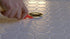SASHCO SEALANTS 13080 VOC LXL WH CAULK, 10.5OZ