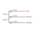 uxcell Ceiling Fan Capacitor, CBB61 4/5/7uF 350V AC, 5 Wires, Metallized Polypropylene Film Capacitor, 58x40x28mm for