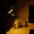 ZJchao Clip on Light, Makeup LED Lamp for Eyebrow, Lip, Beauty Salon, Desktop Reading Light with Clip