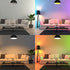 Feit Electric A19 LED Color Changing Light Bulb, 60W Equivalent, E26 Medium Base, 15 Year Life