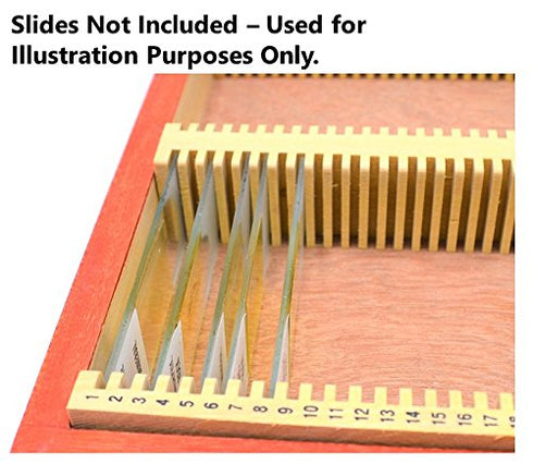 Eisco Labs BI0001C Wooden Microscope Slide Box, Holds 100 Slides, 25x75mm