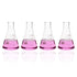 4pcs Narrow Mouth Glass Erlenmeyer Flasks, 250ml, Borosilicate with Printed Graduation
