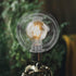 5.90 Inch OSALADI Glass Lampshade Replacement Clear Globe Lamp Cover for Ceiling Table Floor Lamps Easy Install