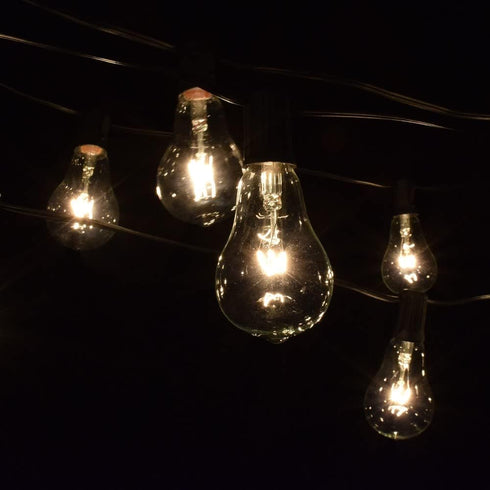 (PS50 10 Hometown Evolution, Inc. Vintage Edison Outdoor String Lights Clear - Black Wire, ft)