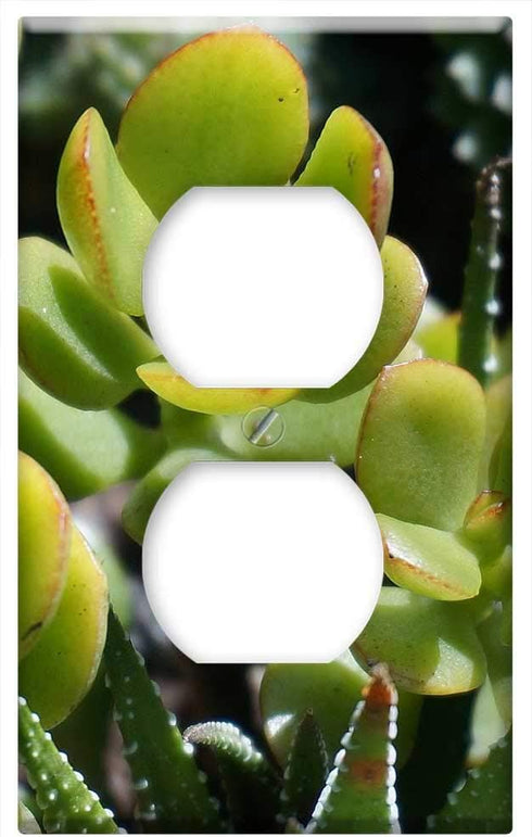 Yuatuwaw Switch Plate Outlet Cover - Jade Plant Succulent Container Plant Plant Nature