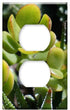 Yuatuwaw Switch Plate Outlet Cover - Jade Plant Succulent Container Plant Plant Nature