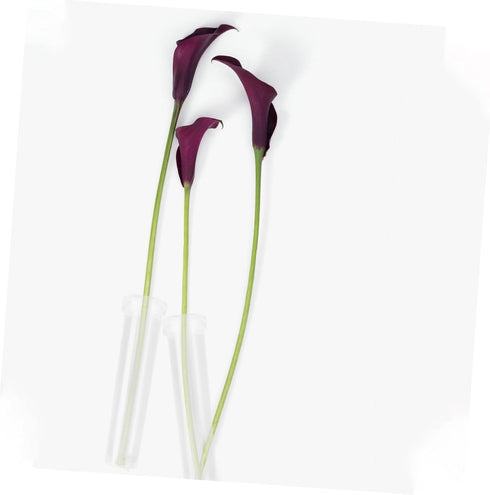 Set Floral Preservation Tubes for Fresh Flower Arrangements - Perfect for Roses and Carnations
