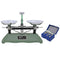 HHNIULI 200g Balance Scale for Classroom, Mechanical Tray Balance Scale with Tweezers and Weights for Kids