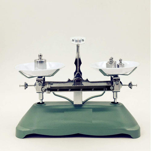 Calibration Weight for Weigh Scales, 100G Gram Calibration Weight for Digital Scale Balance