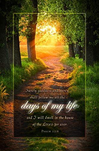 Funeral Bulletin - "Days of My Life" - KJV - Package of 100