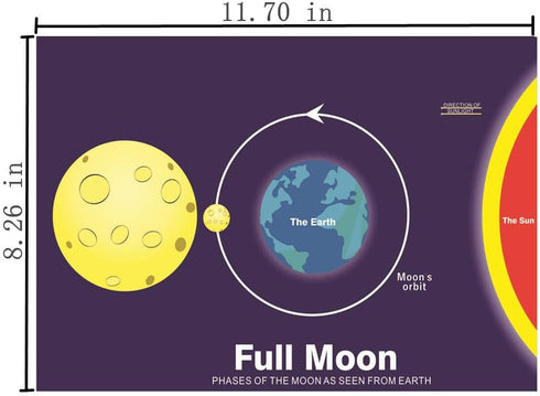 Set of 9 Moon Phases Charts for Classroom Science, Reusable Posters with Names and Illustrations, Measuring 12.2” x 8.6”