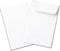Guardian #1 Paper Coin Envelopes with Gummed Flaps, Pack of 500 Blank Small Envelopes for Storage