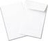 Guardian #1 Paper Coin Envelopes with Gummed Flaps, Pack of 500 Blank Small Envelopes for Storage