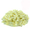 100 Pcs Nylon Female Spade Connectors XHF 12-10 AWG Quick Disconnect Insulated Wire Crimp Connectors Yellow