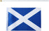Scotland Flag Mini Handheld Flags on Stick, Ideal for Party Parades, Sports Events & Patriotic Decorations