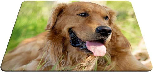 Dog Gaming Mousepad, Golden Retriever Theme Mouse Pad for Computer Desk Laptop Office 9.5 X 7.9 Inch Non-Slip Rubber