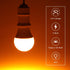 LED amber light Bulbs, A19 9W(60W Equivalent) 1800K E26 A19 Amber Soft Light Bulbs Warm Light Bulbs for Bedroom, Healthy Sleep, Baby Nursery Light, Turtle Friendly Light Bulbs 2 Pack by KINUR