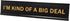 I'm Kind Of A Big Deal Novelty Nameplate Desk Sign 2"x10"