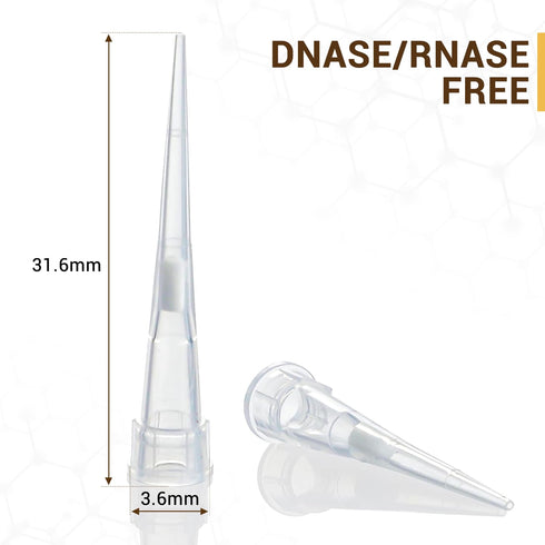 4E's USA 10µL Pipette Tip - Universal Tips, RNase/DNase Free, Sterile White Pipette Tip with Filter, 96 Tips Racked