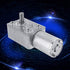 DC 12V High Torque Worm Gear Motor, Reversible Speed Reducing Gear Motor with Female Shaft (5RPM)