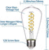 Dimmable Vintage LED Edison Bulbs, 6W Equivalent 60W, 600lm Daylight 5000K ST58 Antique E26 Clear Glass