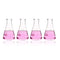 Shot Glass Set, 4pcs Narrow Mouth Glass Erlenmeyer Flasks, 50ml, 3.3 Borosilicate with Printed Graduation, LVC001