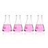 Shot Glass Set, 4pcs Narrow Mouth Glass Erlenmeyer Flasks, 50ml, 3.3 Borosilicate with Printed Graduation, LVC001