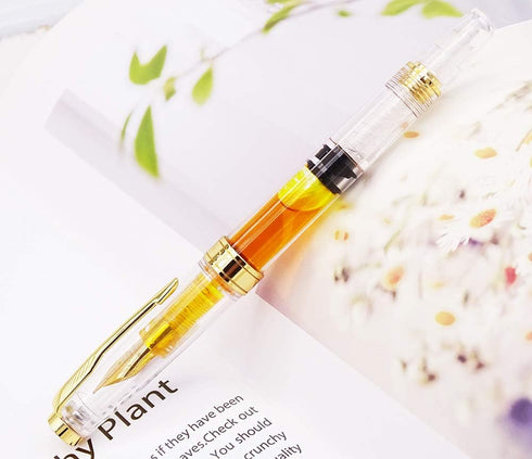 Lanxivi Yongsheng 3011 Demonstrator Clear Classical Fountain Pen, Fine Nib, Piston Filling System, Set of 4