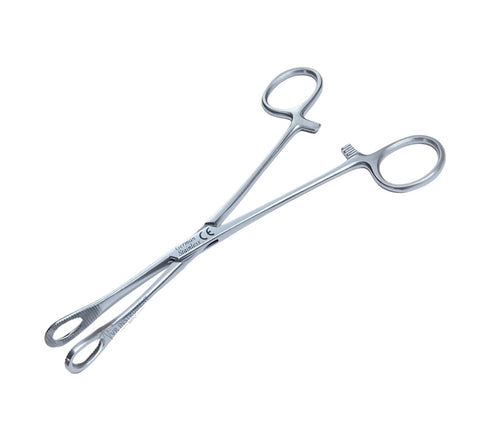 VR Instrument Supply 7" Sponge Holding Forceps Straight Serrated Surgical Instruments Veterinary Body Piercing Tools