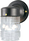Westinghouse Angelo Brothers 66885 One-Light Jelly Jar, Black