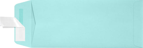 LUXPaper #10 Policy Business Envelopes | Peel & Press | Seafoam Blue | 4 1/8" x 9 1/2" | 80lb. Text | 50 Qty