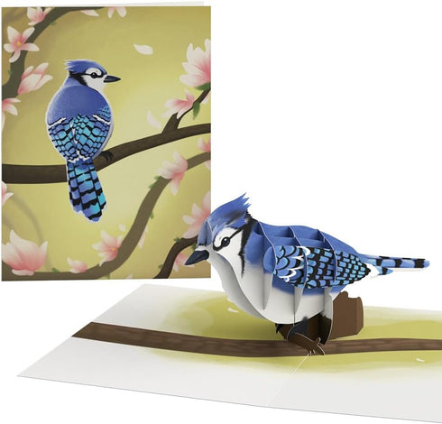 Set 12-Pack) 3D 4.5" 5.9" Lovepop Spring Bird Basket Series Box (Assorted Pop-Up Card for Her and Him - Everyday