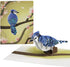 Set 12-Pack) 3D 4.5" 5.9" Lovepop Spring Bird Basket Series Box (Assorted Pop-Up Card for Her and Him - Everyday