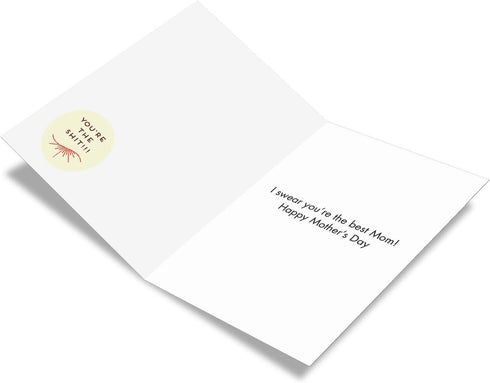NobleWorks Funny Mother's Day Card - Greeting Notecard Gift for Moms with Envelope - Sorry For Swearing C6944MDG