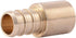 SharkBite 1/2 Inch Crimp MNPT Male Sweat Adapter, Pack of 10, Brass Plumbing Fittings for PEX Pipe