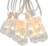 Hometown Evolution, Inc. Vintage Outdoor Patio String Lights with ST11 Clear Light