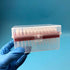 200µL Filtering Pipette Tips - Universal Filter Tips, RNase/DNase Free, Clear, 960 Tips/Rack