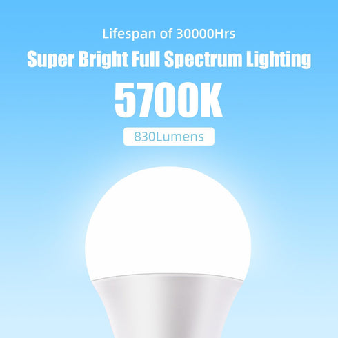 Full Spectrum Sun Light Bulb - A19 9W, Boosts Energy, Mood & Performance, Near-Perfect Color Rendering