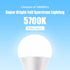 Full Spectrum Sun Light Bulb - A19 9W, Boosts Energy, Mood & Performance, Near-Perfect Color Rendering