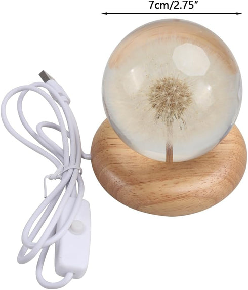 DONGKER Daisy Decor Night Light,Dandelions Crystal Ball Light with Wooden Base & Resin Cover for Valentine's Day