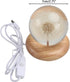 DONGKER Daisy Decor Night Light,Dandelions Crystal Ball Light with Wooden Base & Resin Cover for Valentine's Day